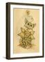 Spring (Primrose)-Linda Ravenscroft-Framed Giclee Print