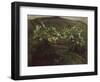 Spring rain and cherry-Nikolai Astrup-Framed Giclee Print