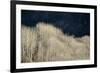 Spring Rain-Ursula Abresch-Framed Photographic Print