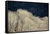 Spring Rain-Ursula Abresch-Framed Stretched Canvas