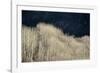 Spring Rain-Ursula Abresch-Framed Photographic Print