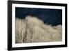 Spring Rain-Ursula Abresch-Framed Photographic Print