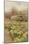 Spring, Raunds Cliffe, 1907-George Samuel Elgood-Mounted Giclee Print