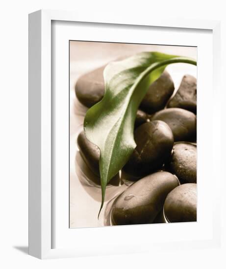 Spring Retreat II-Christine Elizabeth-Framed Art Print