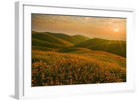 Spring Riot I-Mark Geistweite-Framed Photographic Print