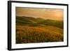 Spring Riot I-Mark Geistweite-Framed Photographic Print