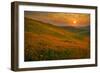 Spring Riot II-Mark Geistweite-Framed Photographic Print