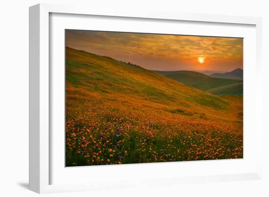 Spring Riot II-Mark Geistweite-Framed Photographic Print