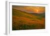 Spring Riot II-Mark Geistweite-Framed Photographic Print