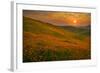 Spring Riot II-Mark Geistweite-Framed Photographic Print