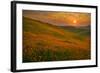 Spring Riot II-Mark Geistweite-Framed Photographic Print