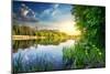 Spring River and Green Forest at Sunset-Givaga-Mounted Photographic Print