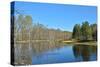 Spring River Landscape.-sergunt-Stretched Canvas