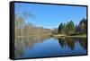 Spring River Landscape.-sergunt-Framed Stretched Canvas