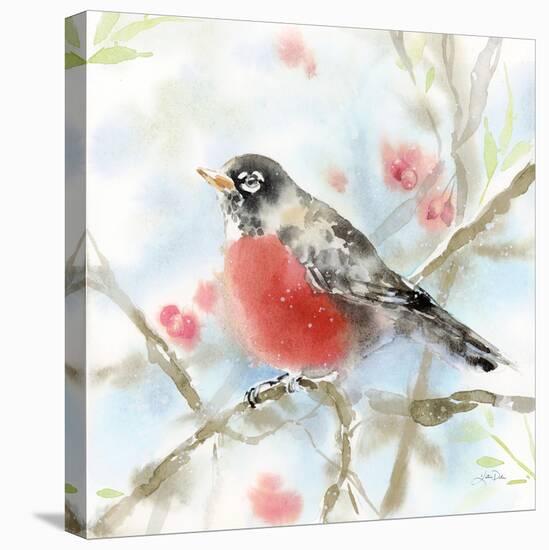 Spring Robin-Katrina Pete-Stretched Canvas