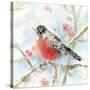 Spring Robin-Katrina Pete-Stretched Canvas