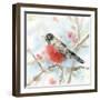 Spring Robin-Katrina Pete-Framed Art Print