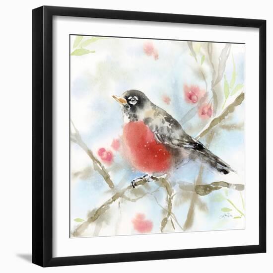 Spring Robin-Katrina Pete-Framed Art Print