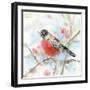 Spring Robin-Katrina Pete-Framed Art Print