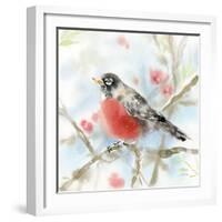 Spring Robin-Katrina Pete-Framed Art Print