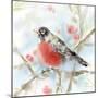 Spring Robin-Katrina Pete-Mounted Art Print