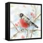 Spring Robin-Katrina Pete-Framed Stretched Canvas