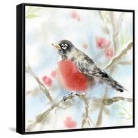 Spring Robin-Katrina Pete-Framed Stretched Canvas