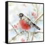 Spring Robin-Katrina Pete-Framed Stretched Canvas