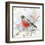 Spring Robin-Katrina Pete-Framed Art Print