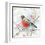 Spring Robin-Katrina Pete-Framed Art Print