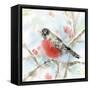 Spring Robin-Katrina Pete-Framed Stretched Canvas