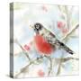 Spring Robin-Katrina Pete-Stretched Canvas