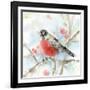 Spring Robin-Katrina Pete-Framed Art Print