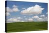 Spring Rolling Hills of Wheat and Clouds-Terry Eggers-Stretched Canvas