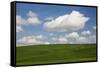 Spring Rolling Hills of Wheat and Clouds-Terry Eggers-Framed Stretched Canvas