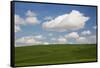 Spring Rolling Hills of Wheat and Clouds-Terry Eggers-Framed Stretched Canvas