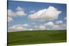 Spring Rolling Hills of Wheat and Clouds-Terry Eggers-Stretched Canvas