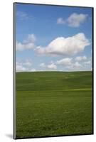 Spring Rolling Hills of Wheat and Clouds-Terry Eggers-Mounted Photographic Print