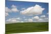 Spring Rolling Hills of Wheat and Clouds-Terry Eggers-Mounted Photographic Print
