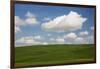 Spring Rolling Hills of Wheat and Clouds-Terry Eggers-Framed Photographic Print