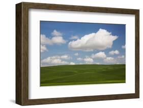 Spring Rolling Hills of Wheat and Clouds-Terry Eggers-Framed Photographic Print