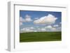 Spring Rolling Hills of Wheat and Clouds-Terry Eggers-Framed Photographic Print