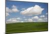 Spring Rolling Hills of Wheat and Clouds-Terry Eggers-Mounted Photographic Print