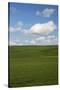 Spring Rolling Hills of Wheat and Clouds-Terry Eggers-Stretched Canvas