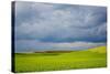 Spring Rolling Hills of Wheat and Fallow Fields-Terry Eggers-Stretched Canvas