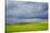 Spring Rolling Hills of Wheat and Fallow Fields-Terry Eggers-Stretched Canvas