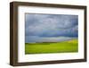 Spring Rolling Hills of Wheat and Fallow Fields-Terry Eggers-Framed Photographic Print