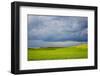 Spring Rolling Hills of Wheat and Fallow Fields-Terry Eggers-Framed Photographic Print