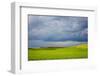 Spring Rolling Hills of Wheat and Fallow Fields-Terry Eggers-Framed Photographic Print