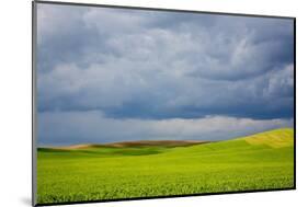 Spring Rolling Hills of Wheat and Fallow Fields-Terry Eggers-Mounted Photographic Print